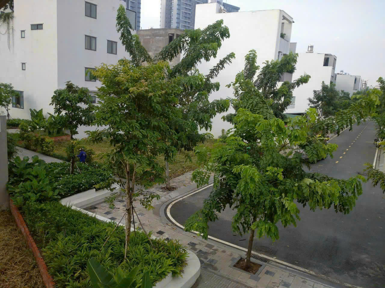 Cho thuê nhà phố Sài Gòn Mysterry Villas 45 tr / tháng , 5x20m .